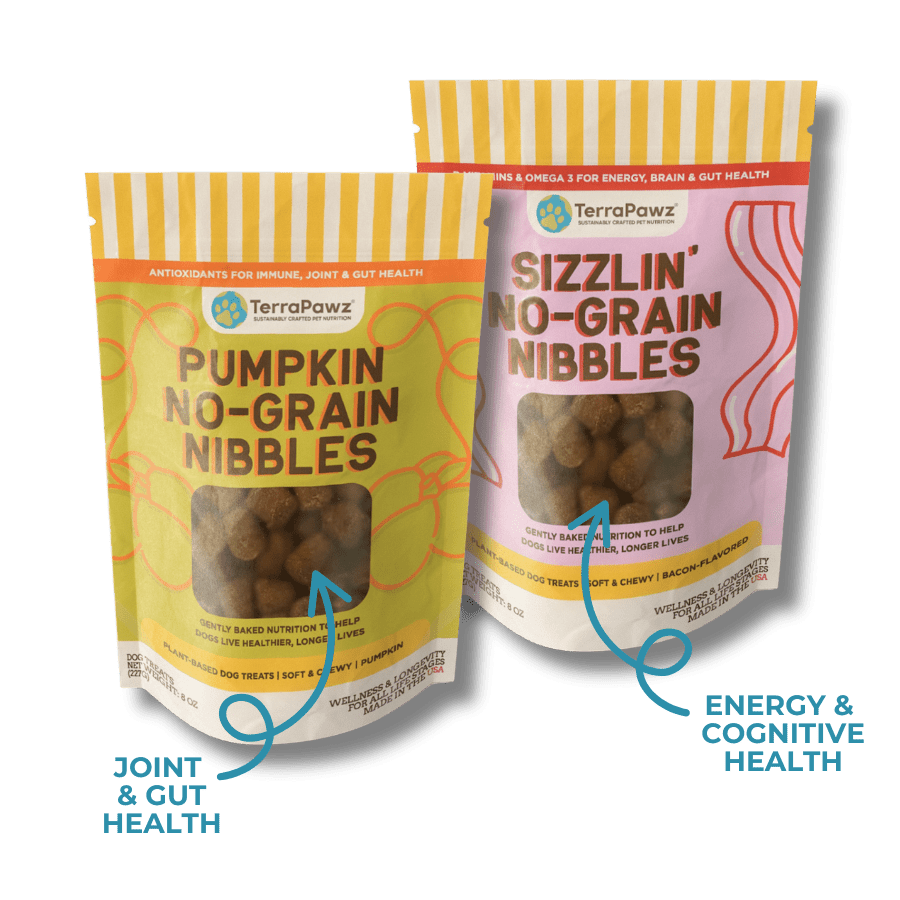 Crunchy Bark Bites - TerraPawz