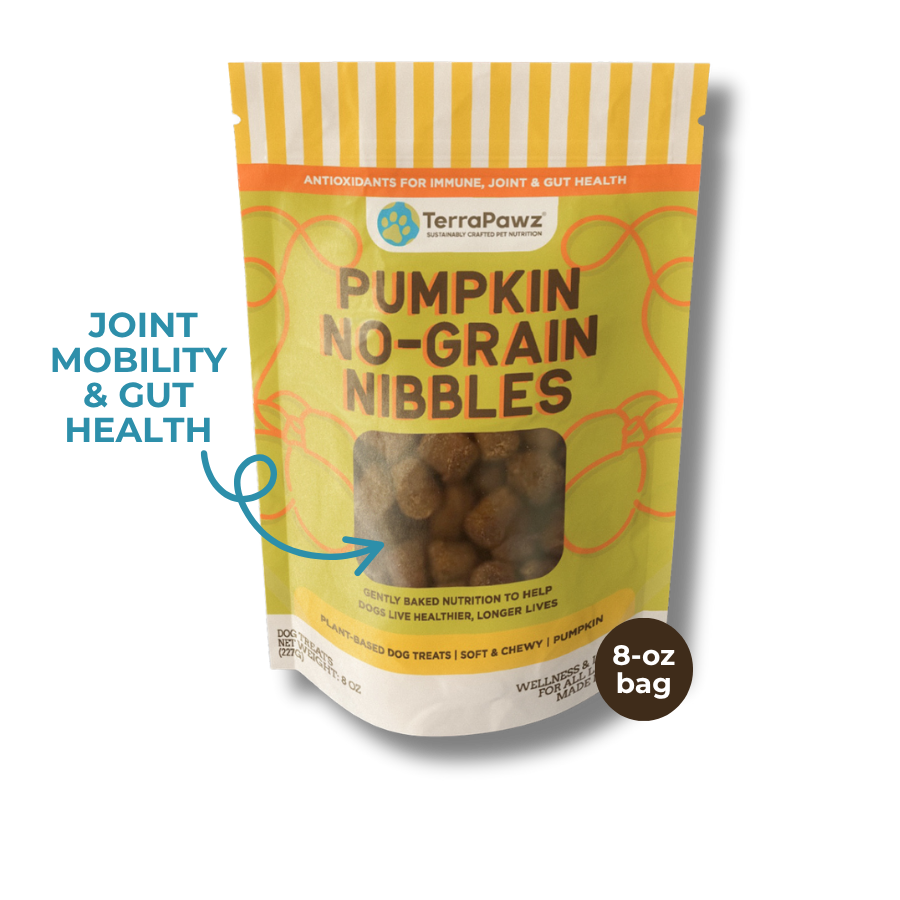 Pumpkin No-Grain Nibbles | Joint Mobility & Gut Health