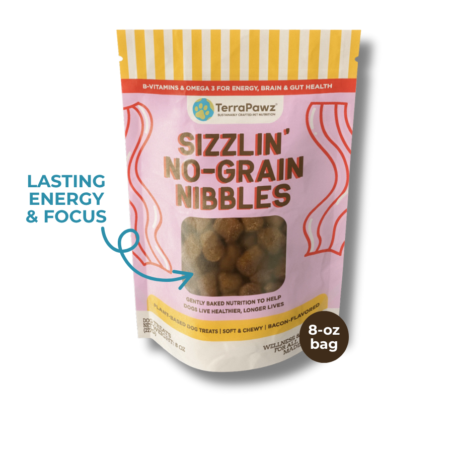 Sizzlin' No-Grain Nibbles | Lasting Energy & Focus