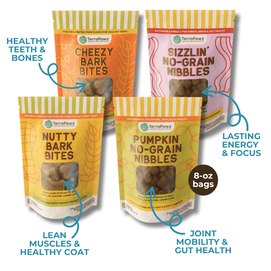 Flavor Feast Sampler | Daily Wellness - TerraPawz