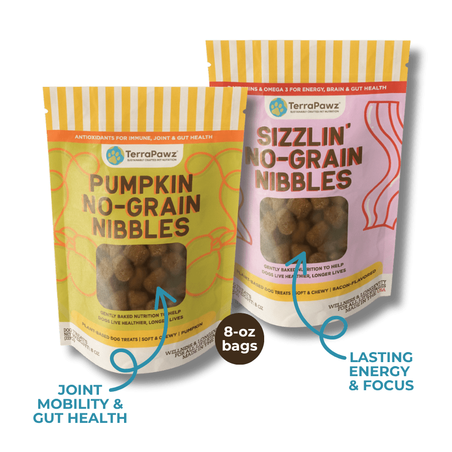 No - Grain Nibbles 2 - Pack | Chewy Functional Treats - TerraPawz