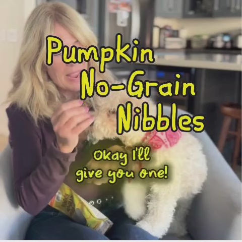 Pumpkin No-Grain Nibbles | Joint Mobility & Gut Health