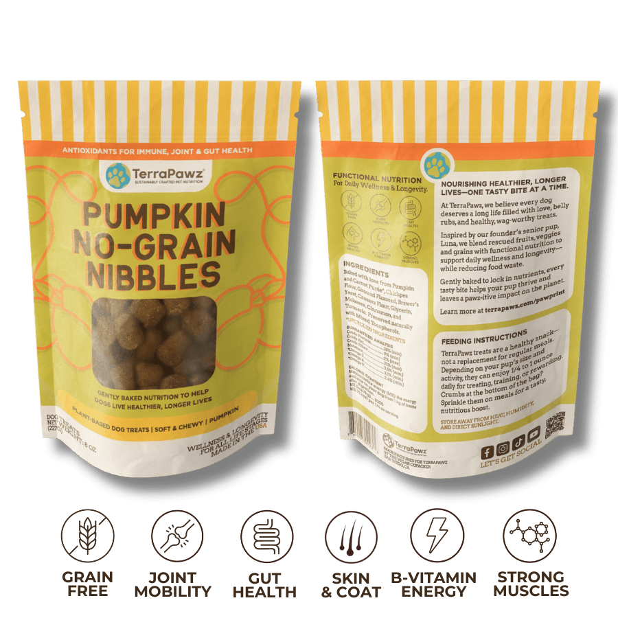 Pumpkin No - Grain Nibbles 2 - Pack - TerraPawz