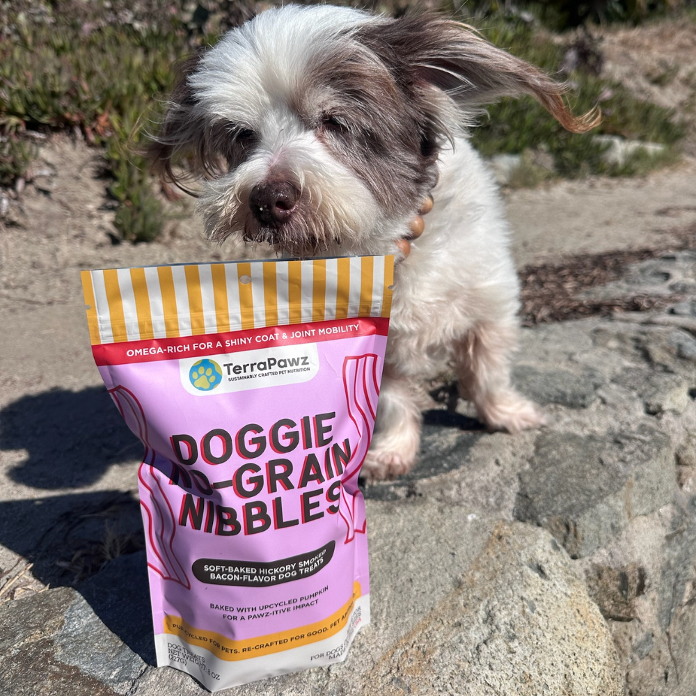 Does Your Dog Struggle with Joint Pain and Arthritis? Try These Functional Treats