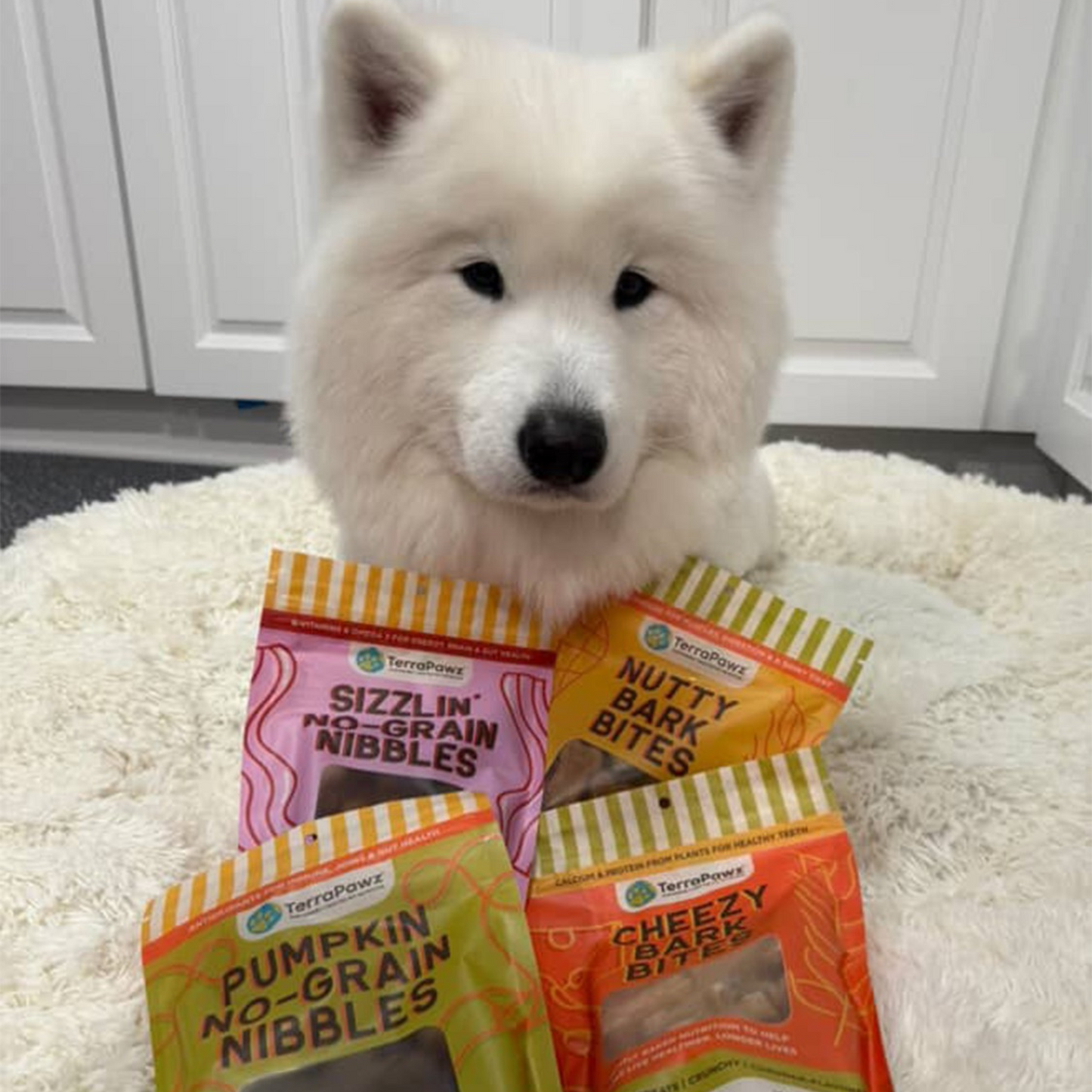 Why TerraPawz Treats Are the Smart, Healthy Choice for Your Dog
