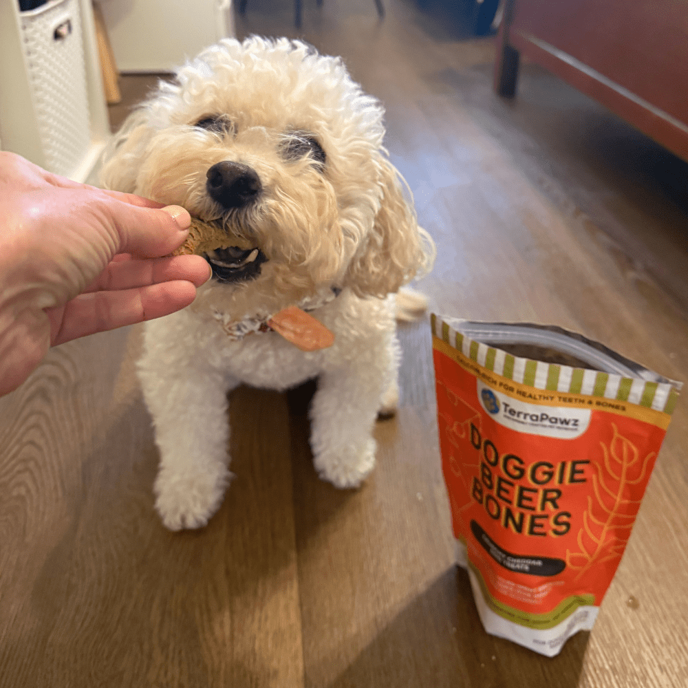 High-Protein, Calcium-Rich Dog Treats for Strong Teeth and Healthy Muscles