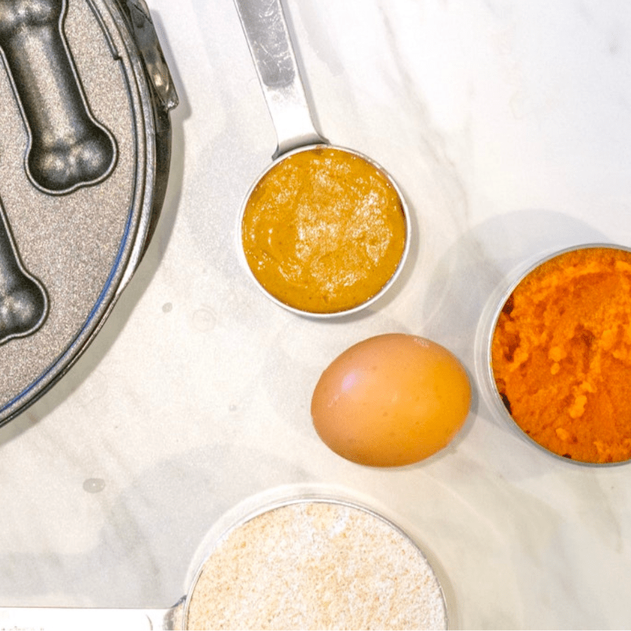 How Sustainable Pet Food Choices Can Make a Difference