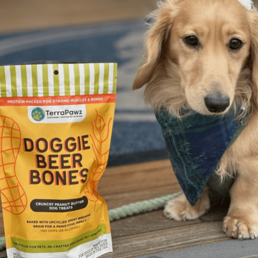 Looking for a High-Protein Dog Treat? Here’s a Crunchy, Nutritious Option