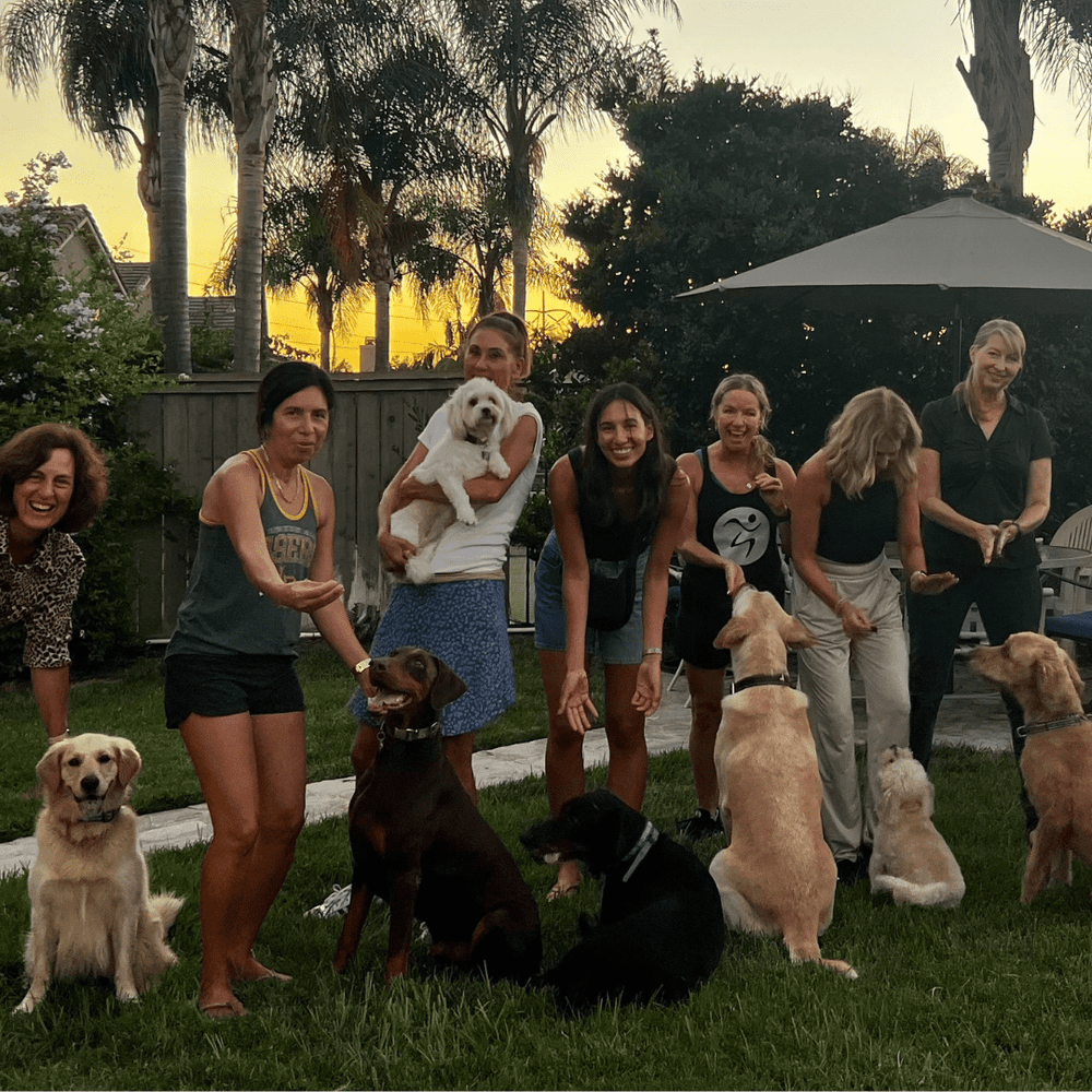 Puppy Pamper Party: A Hangout with Wine, Woofs & Treats! - TerraPawz