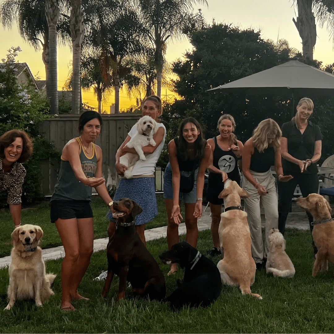 Puppy Pamper Party: A Hangout with Wine, Woofs & Treats! - TerraPawz