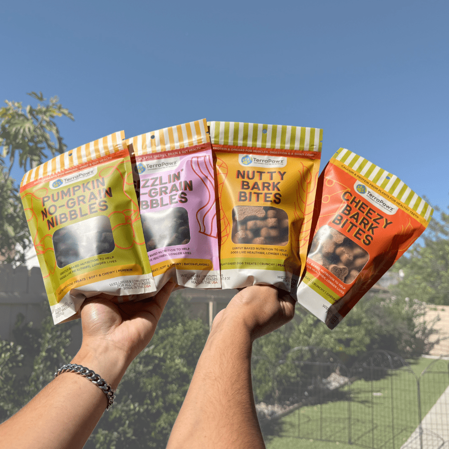 The Easiest Daily Wellness Routine Your Dog Will Actually Stick With - TerraPawz