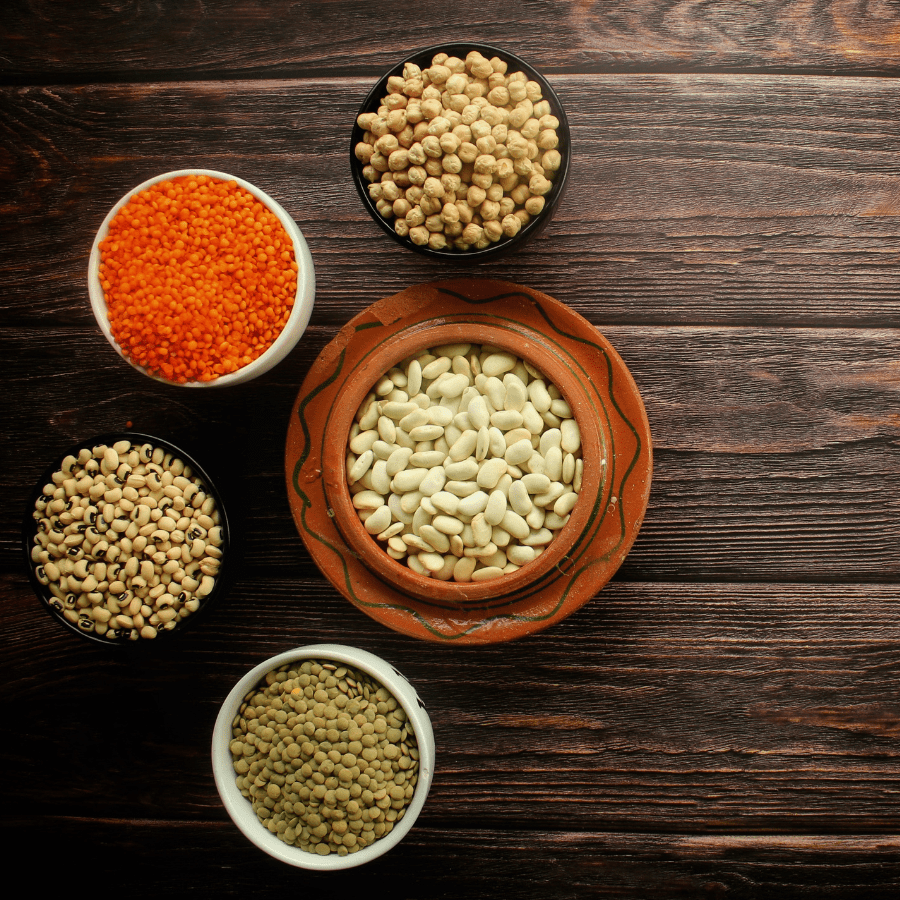 The Rise of Plant-Based Proteins in Pet Treats: Benefits & Smart Considerations - TerraPawz