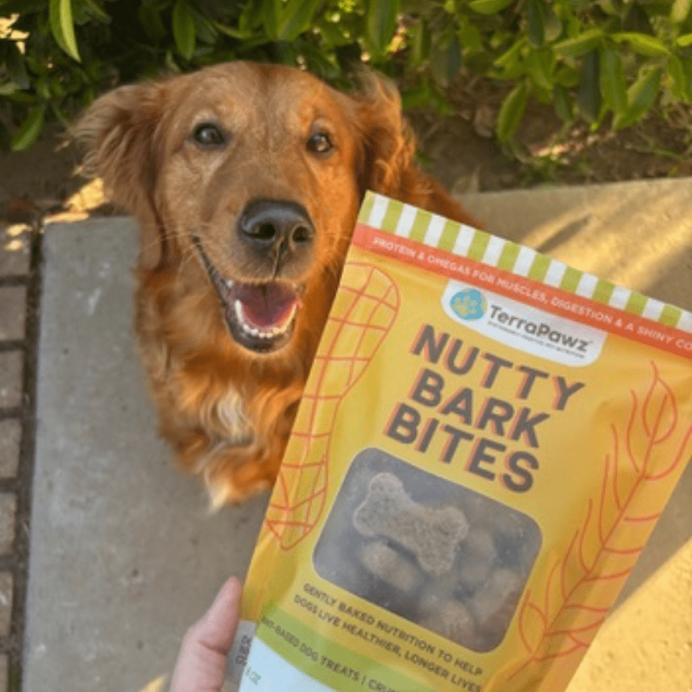 The Secret to a Glossy Coat: Why Chia and Flax are Essential for Dog Skin Health - TerraPawz