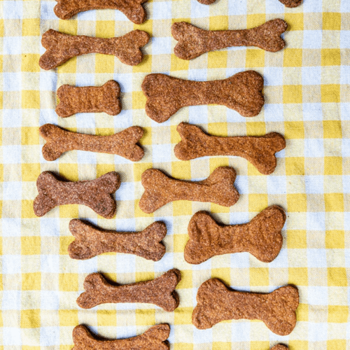 Vet-Approved Homemade Dog Treat Recipes! - TerraPawz
