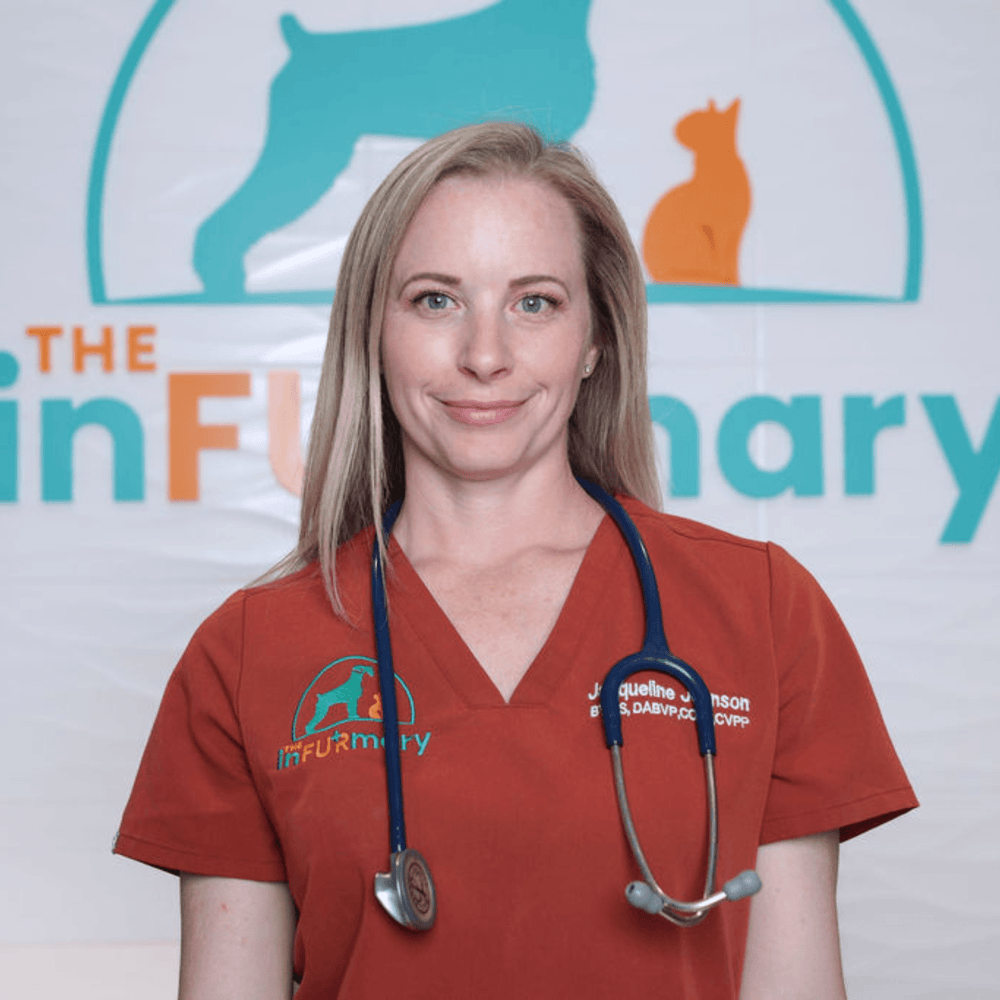 Vet-Recommended Dog Treats: A Guide to Choosing the Best for Your Pup - TerraPawz