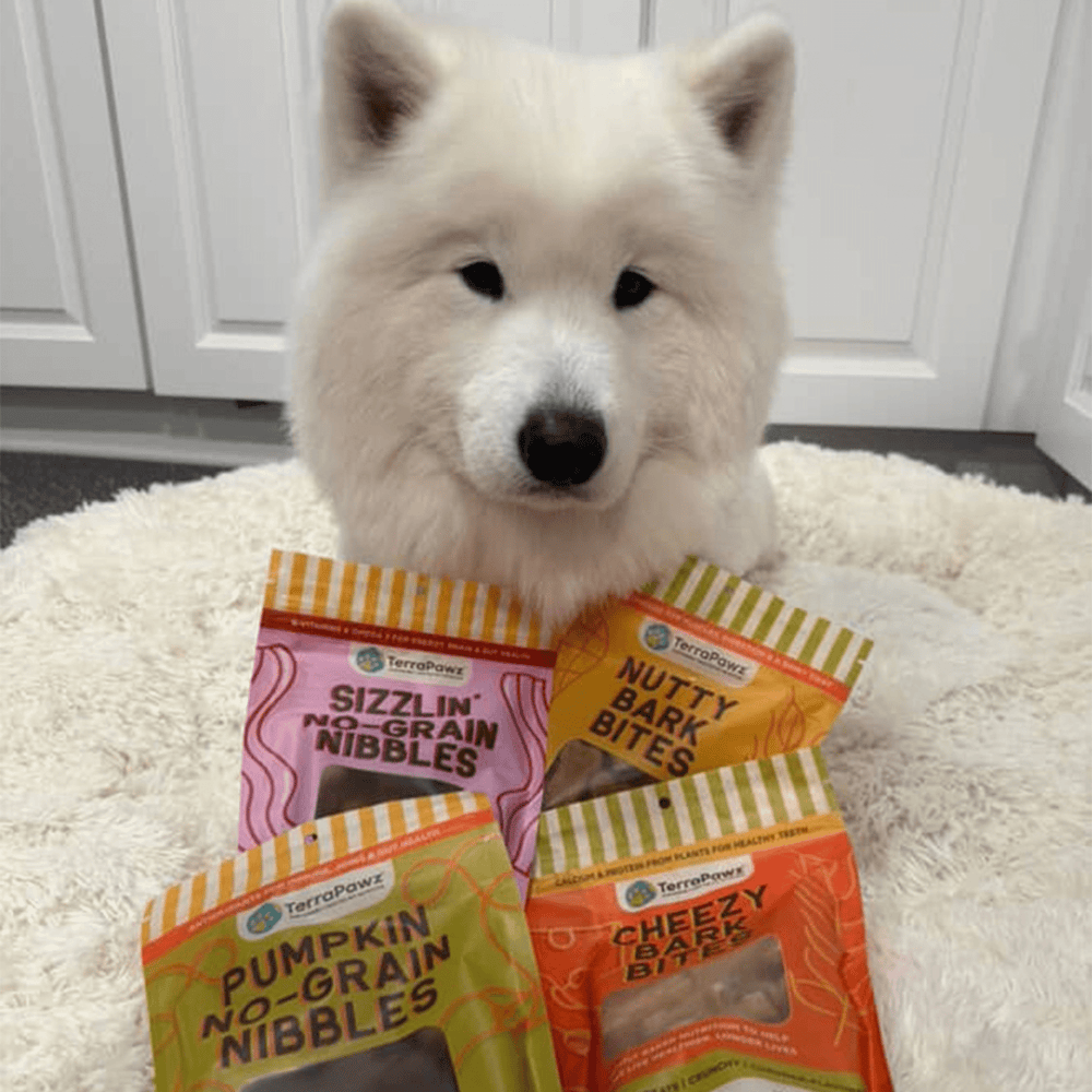 Why TerraPawz Treats Are the Smart, Healthy Choice for Your Dog - TerraPawz