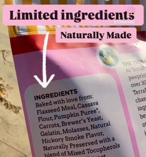 Why Your Pup Deserves Better: The Truth About Dog Treats