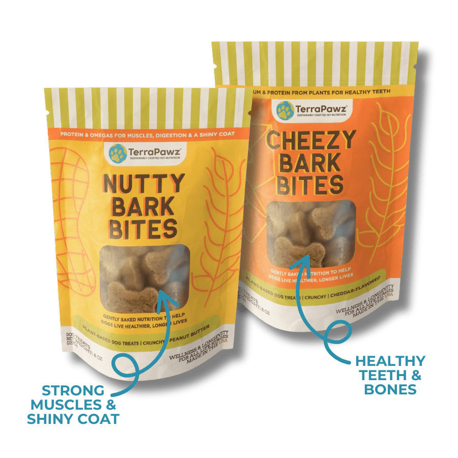 Crunchy Bark Bites