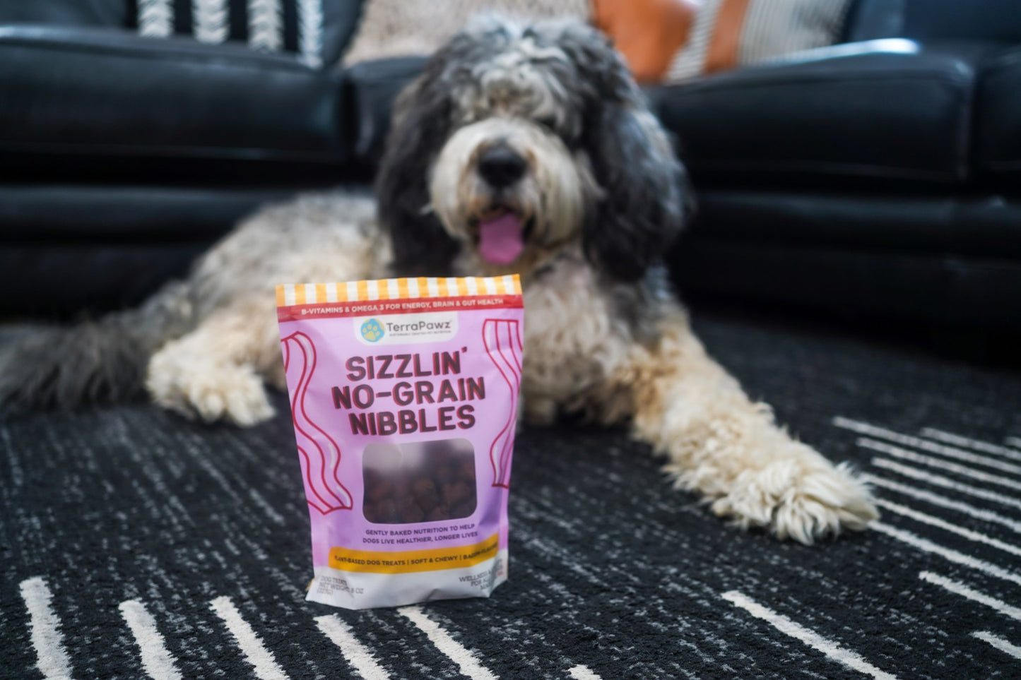 Dog lying on a carpeted floor with a package of 'Sizzlin' No-Grain Nibbles' in front of it.
