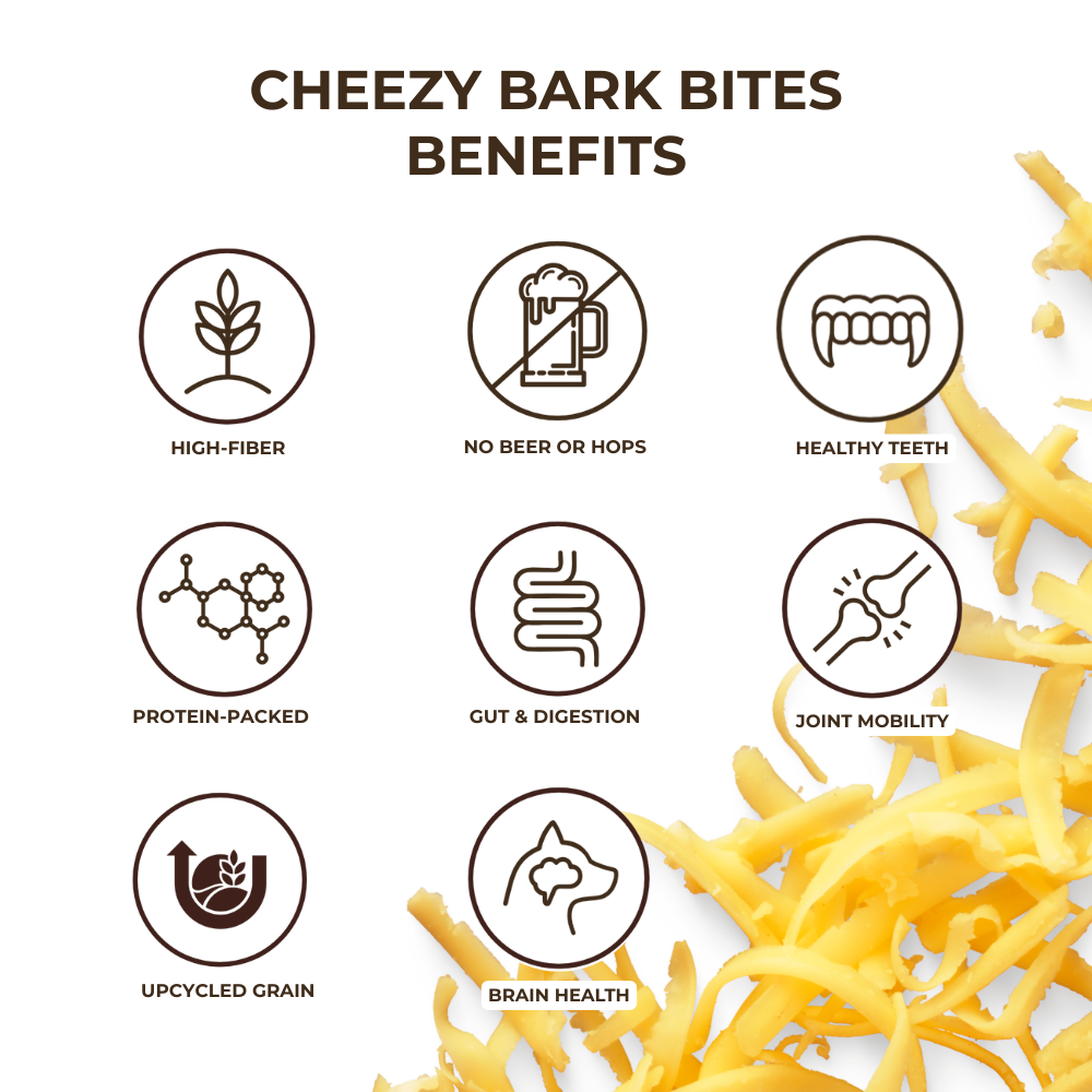 
                      
                        NEW 4-Legged Flavor Feast
                      
                    