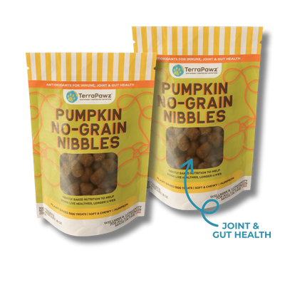 Pumpkin No-Grain Nibbles 2-Pack