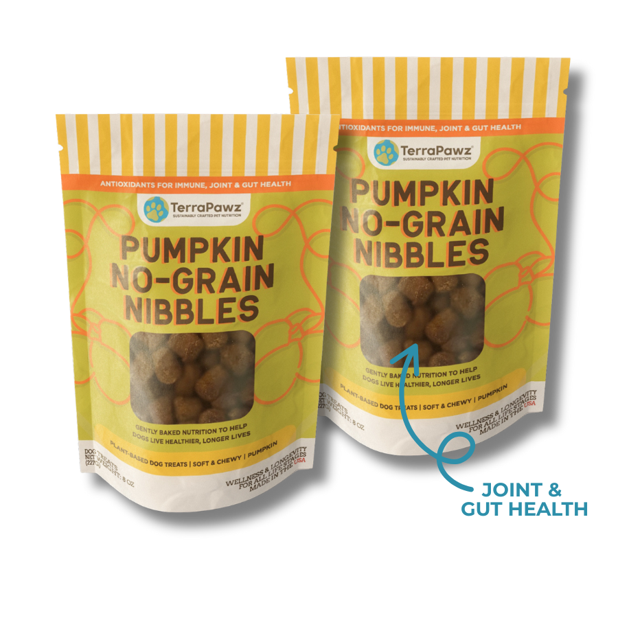 Pumpkin No-Grain Nibbles 2-Pack