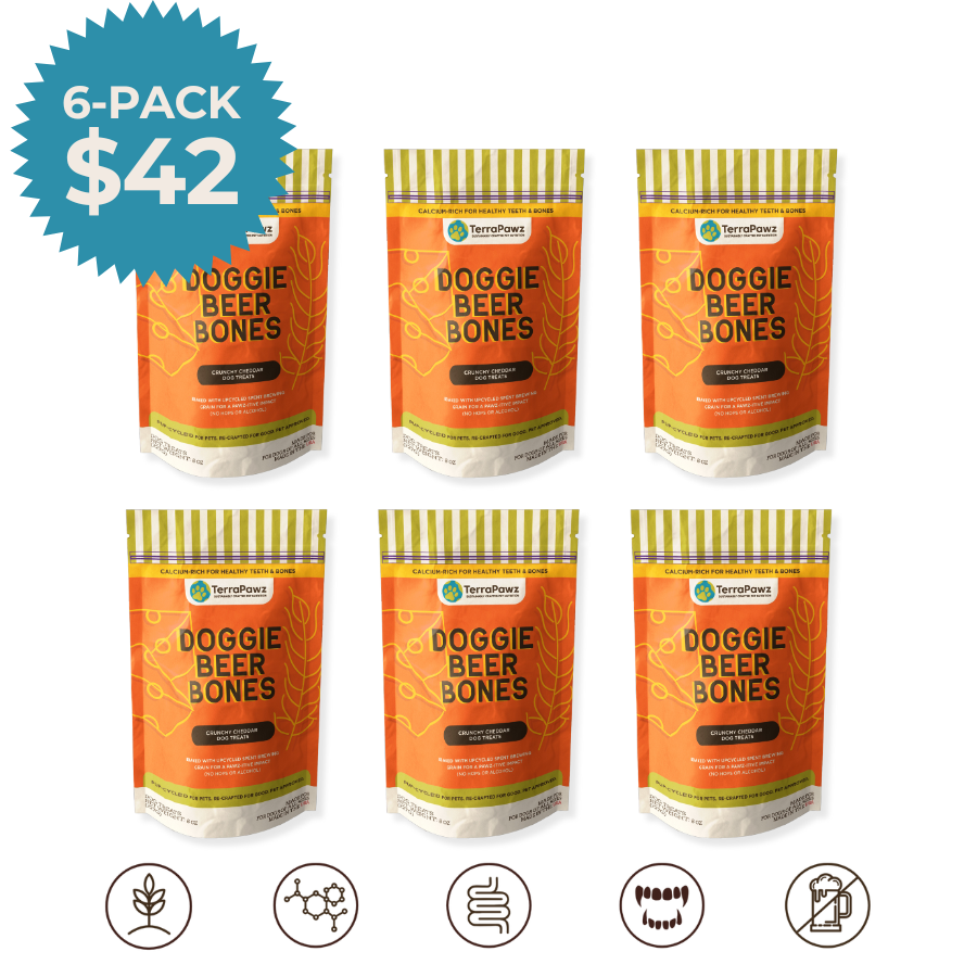 Cheesy Beer Bones (6-pack)
