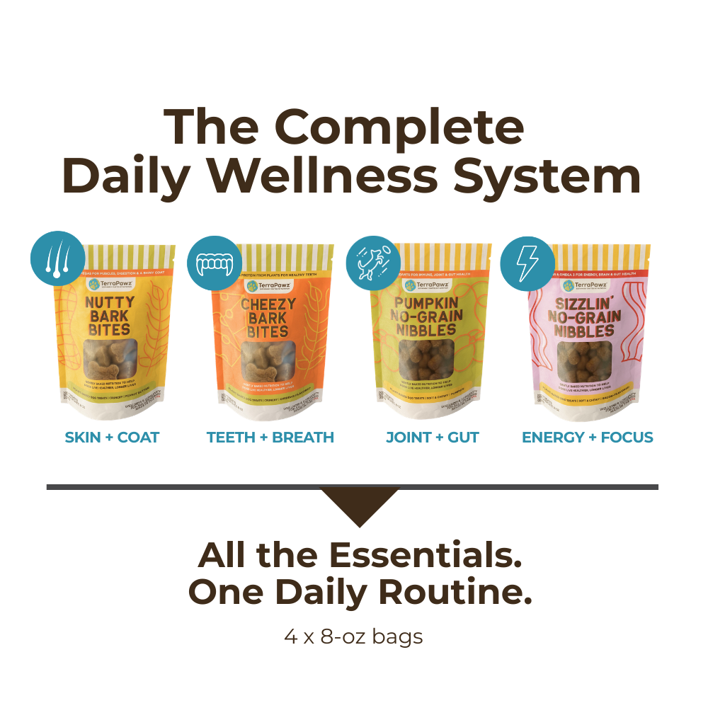 Complete Daily Wellness Kit | Flavor Feast