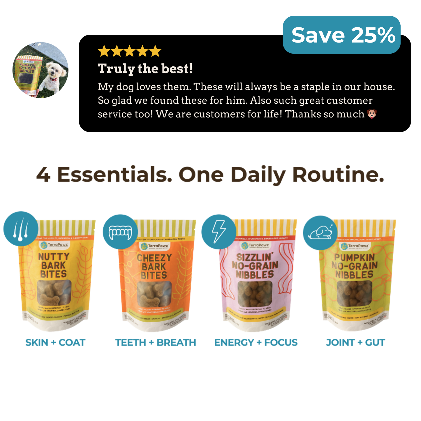 Complete Daily Wellness Kit | Flavor Feast - TerraPawz