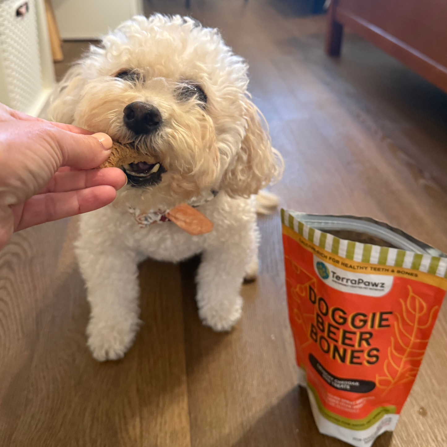 Cheesy Beer Bones: Calcium-rich for healthy teeth and bones.
