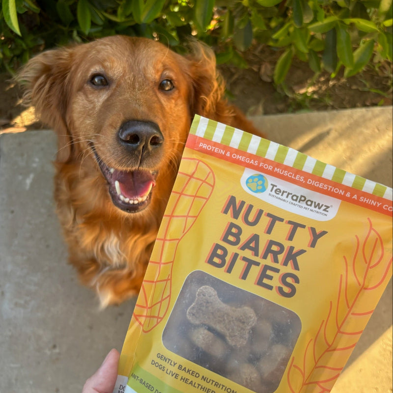 Dog holding a package of Nutty Bark Bites with a green outdoor background