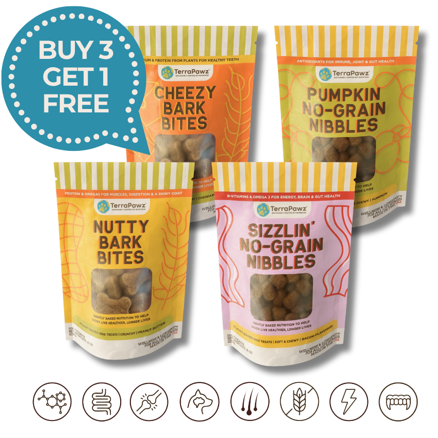 Four packages of TerraPawz dog treats with promotional text on a white background