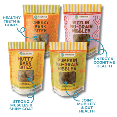 Flavor Feast Sampler Pack