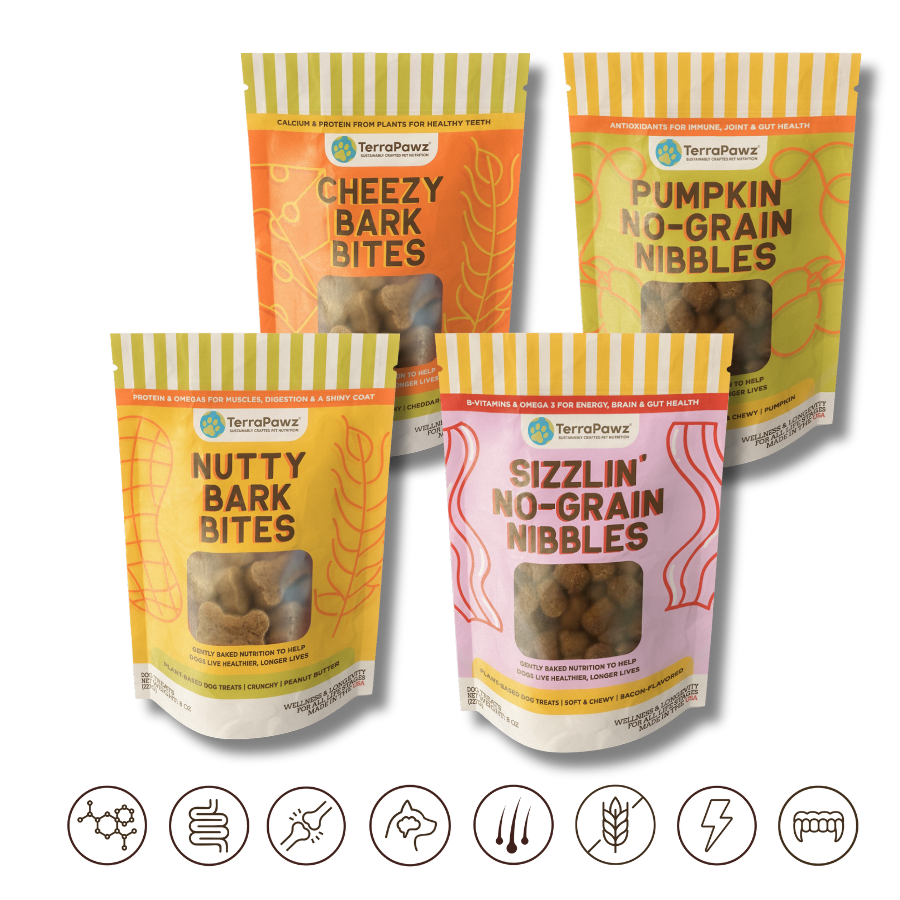 4-Legged Flavor Feast