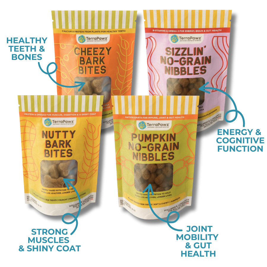 4-Legged Flavor Feast