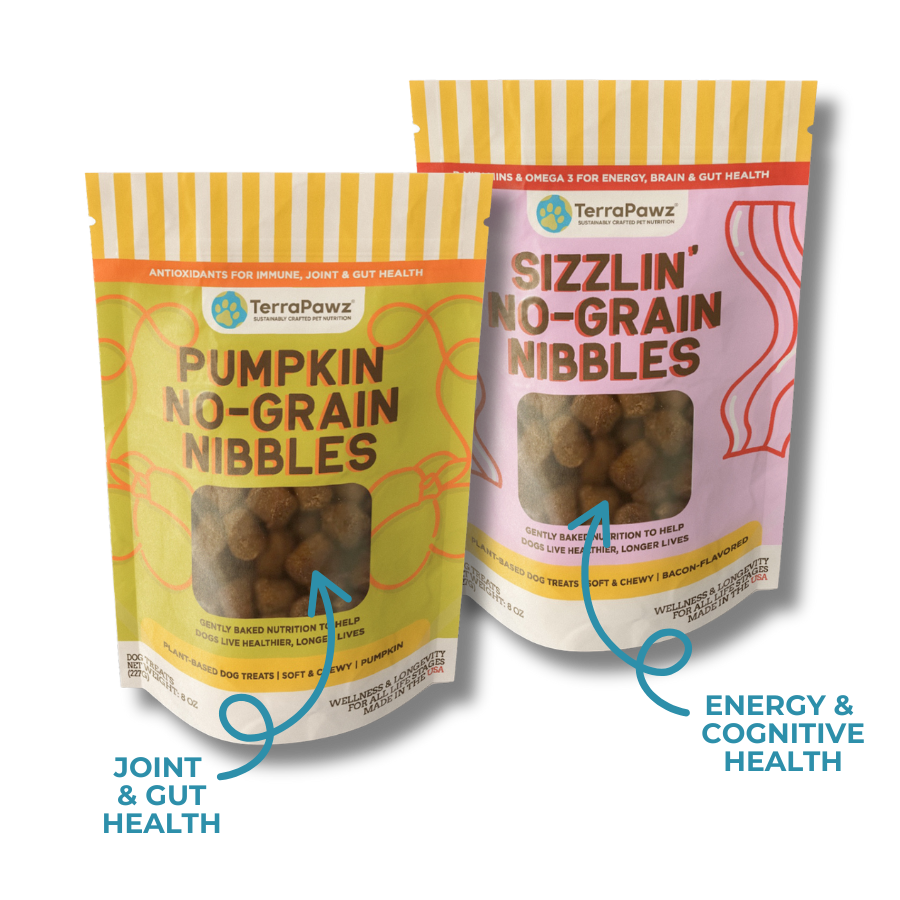 No-Grain Nibbles 2-Pack