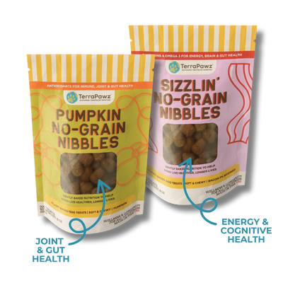 No-Grain Nibbles 2-Pack