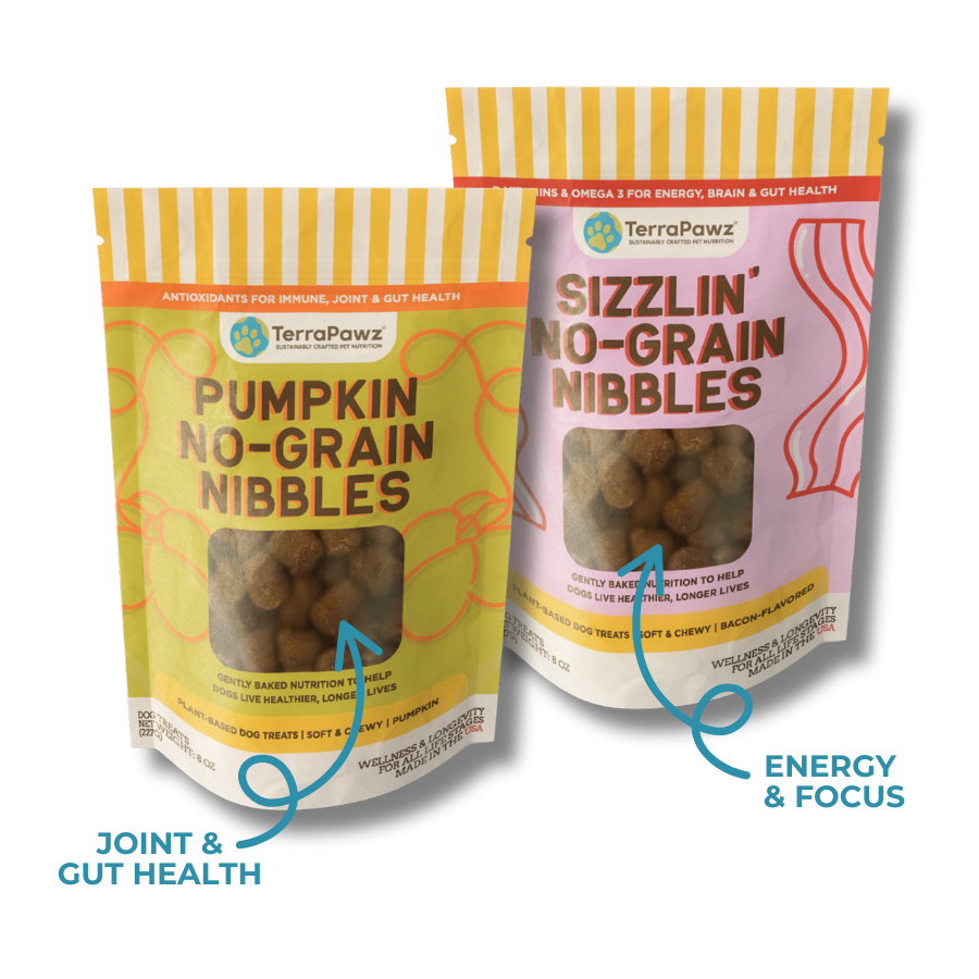 No-Grain Nibbles 2-Pack