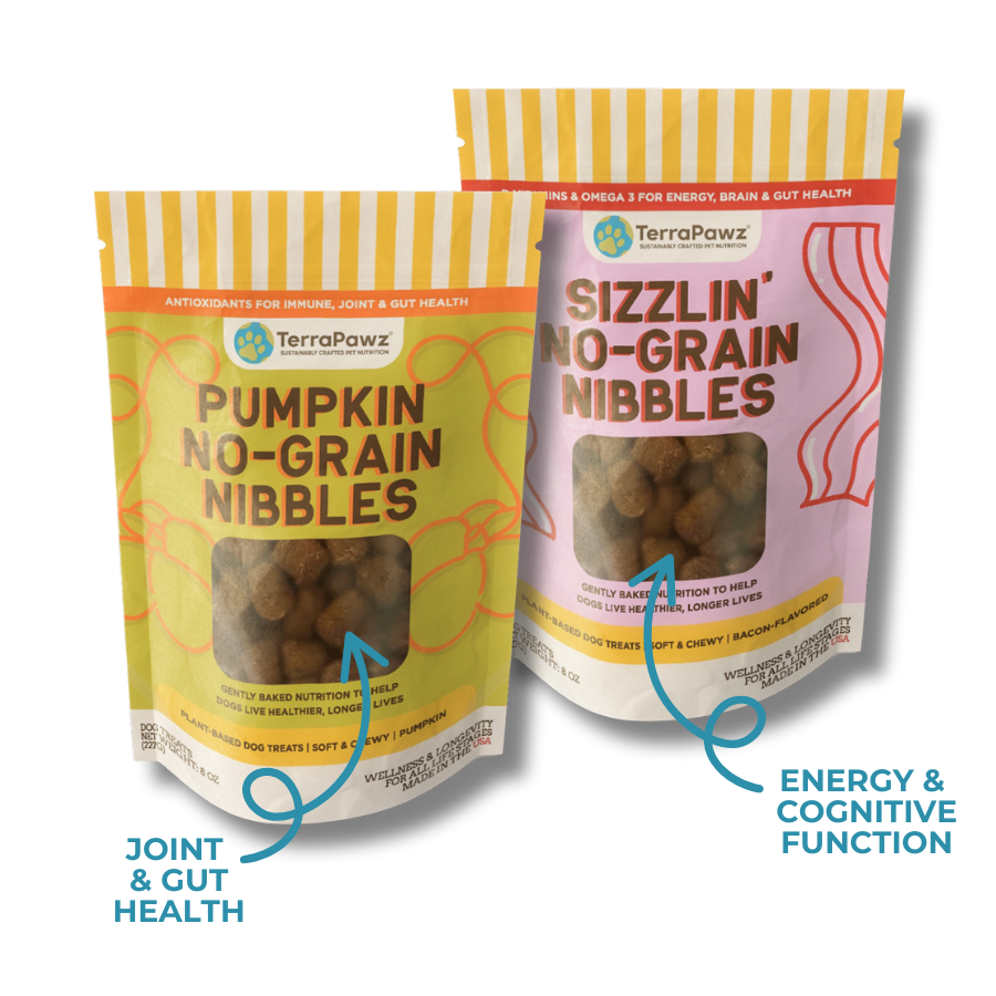 No-Grain Nibbles 2-Pack
