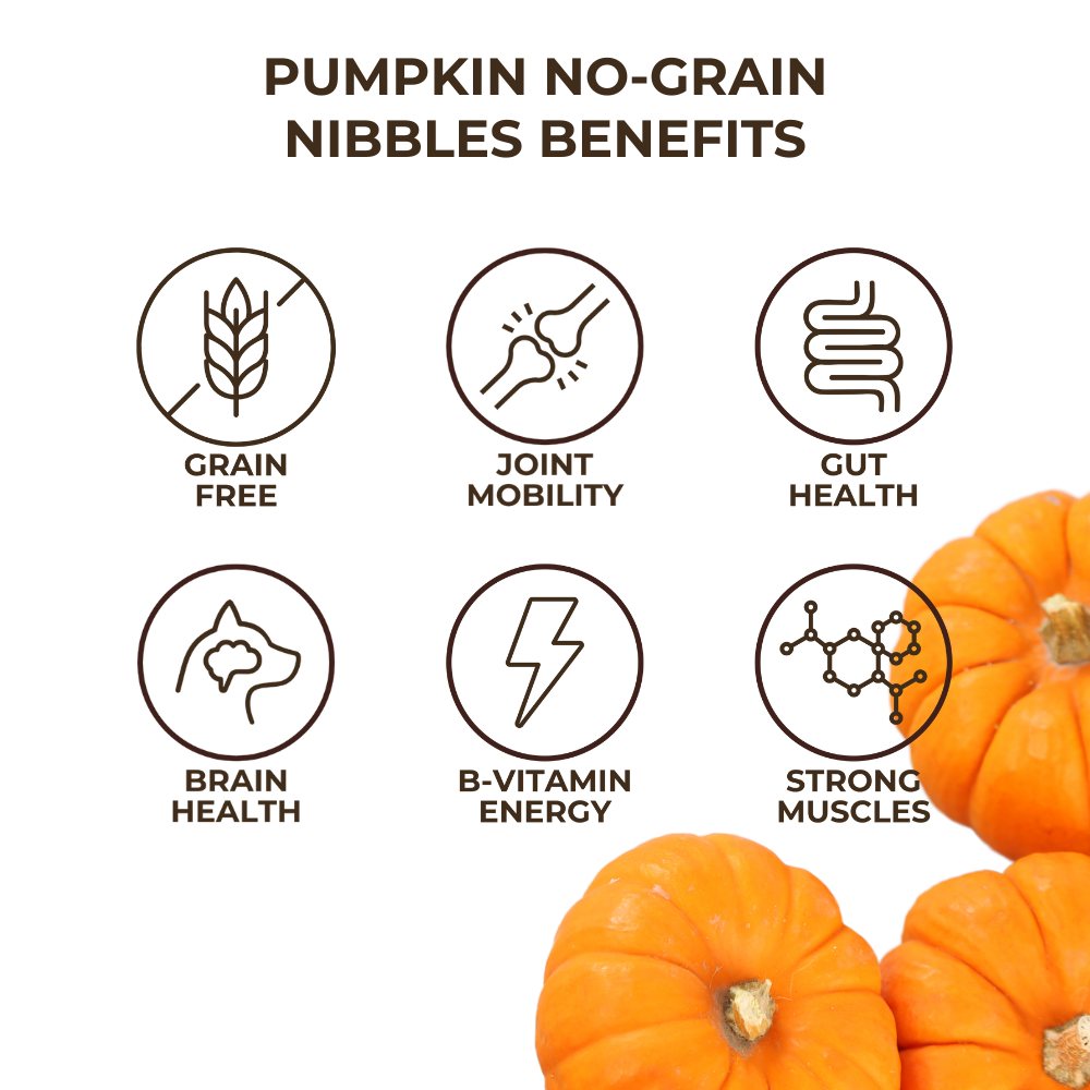 
                      
                        Pumpkin No-Grain Nibbles (8-oz)
                      
                    