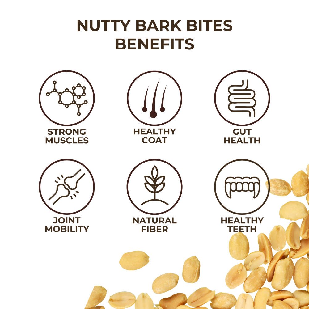 
                      
                        Nutty Bark Bites (8-oz)
                      
                    