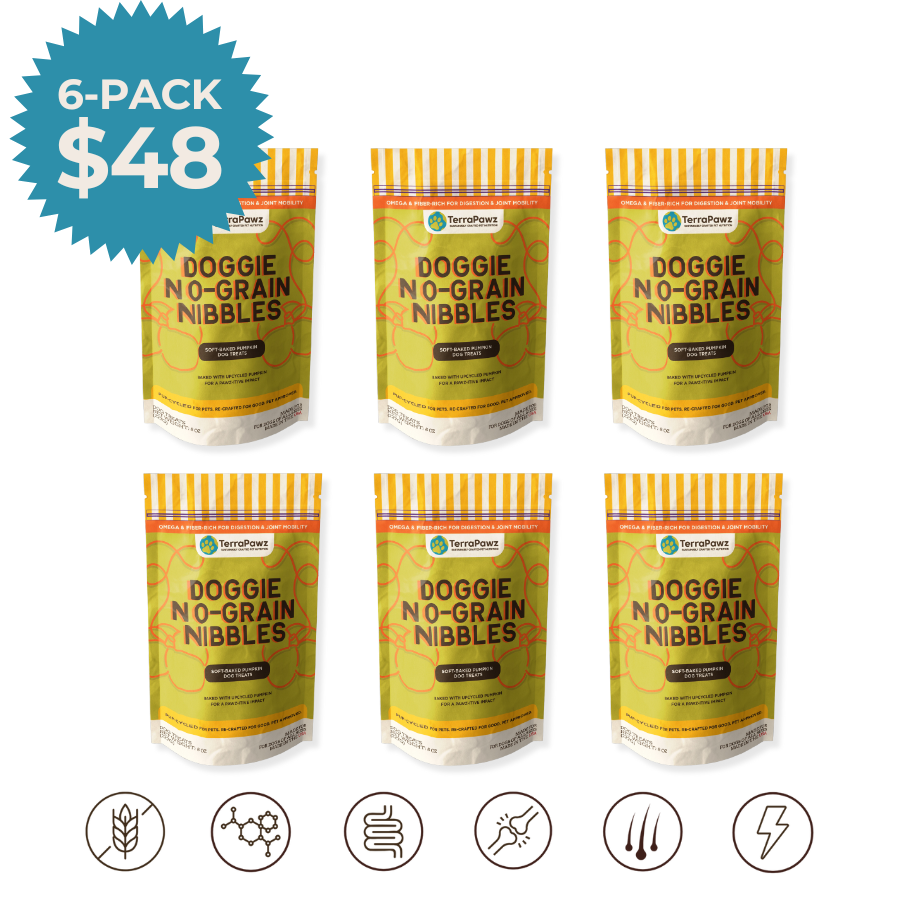 Pumpkin No-Grain Nibbles (6-pack)