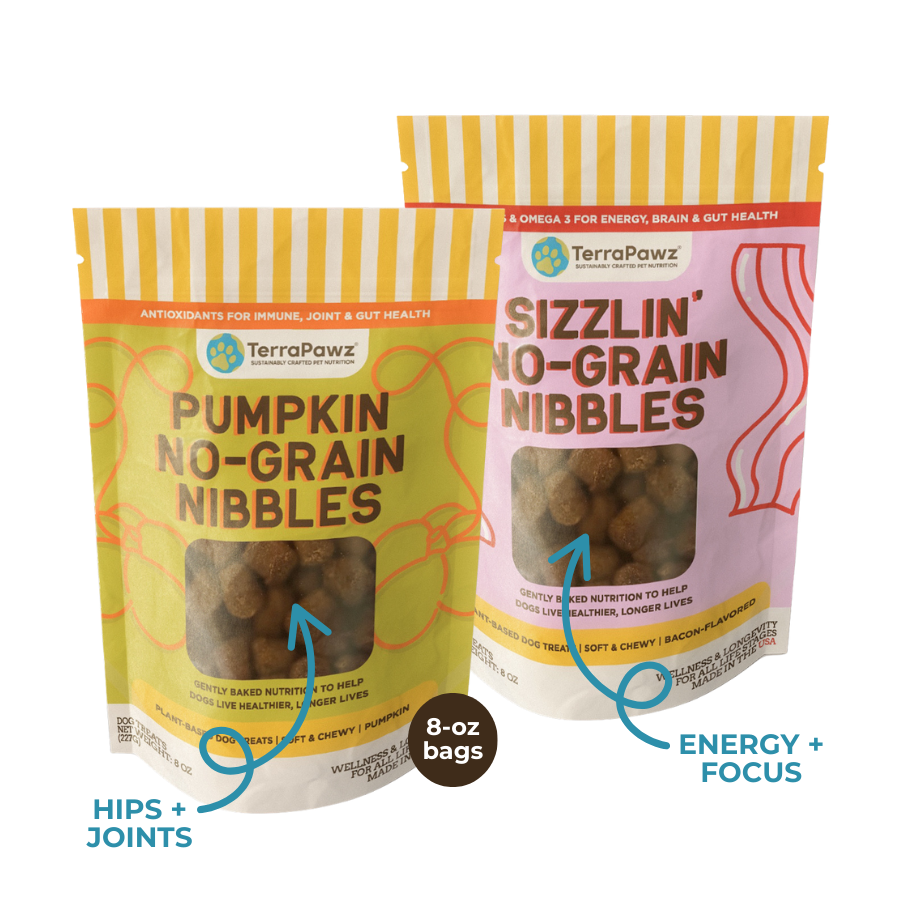 Chewy No-Grain Nibbles