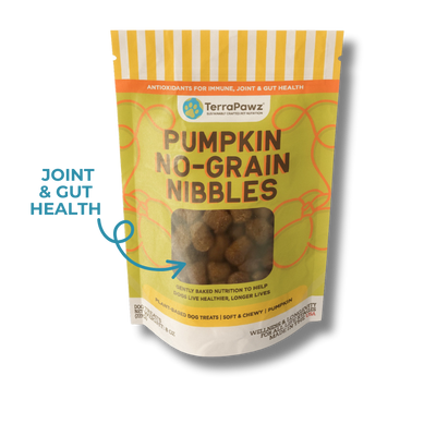 Pumpkin No-Grain Nibbles