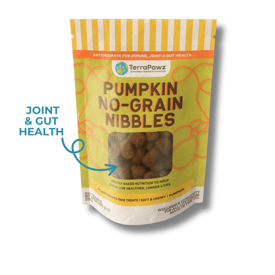 Pumpkin No-Grain Nibbles