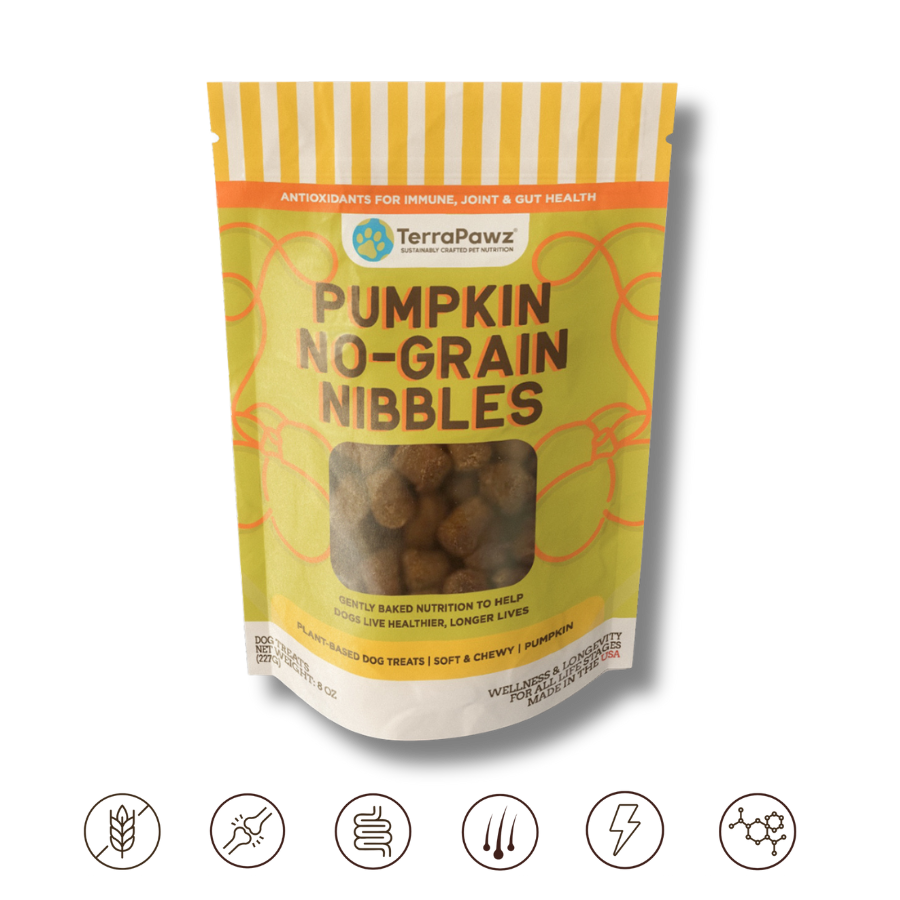 Package of TerraPawz Pumpkin No-Grain Nibbles on a white background