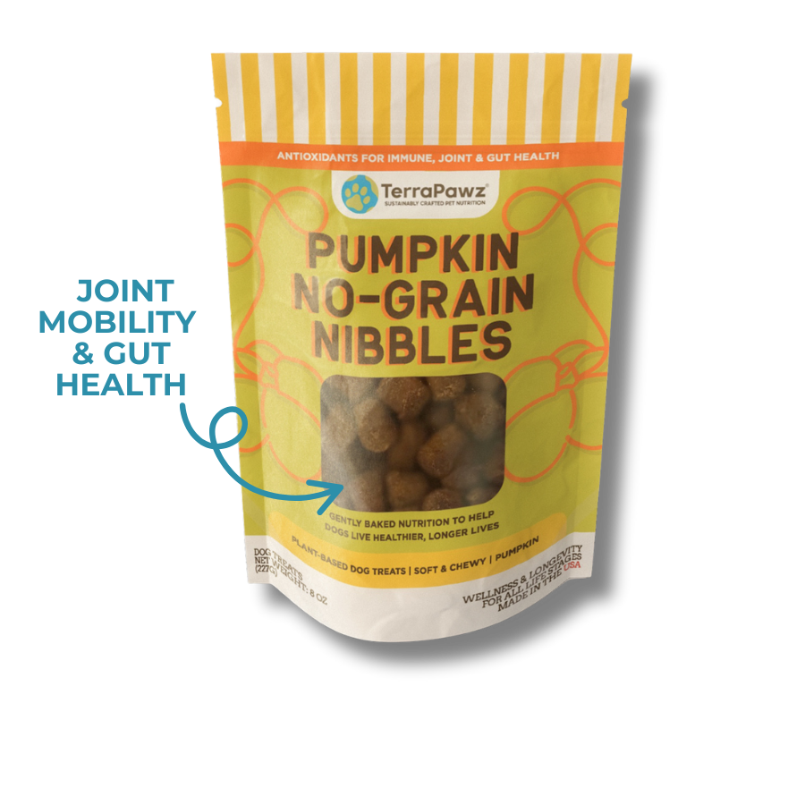 Pumpkin No-Grain Nibbles (8-oz)