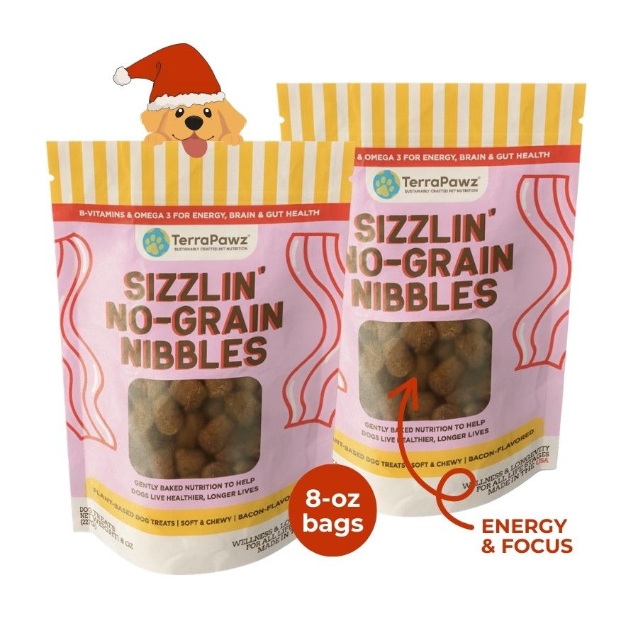 Sizzlin No-Grain Nibbles 2-Pack | Energy + Focus