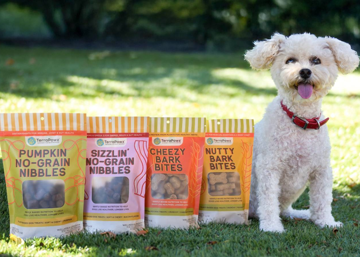 Dog standing next to bags of pet treats in a grassy outdoor setting