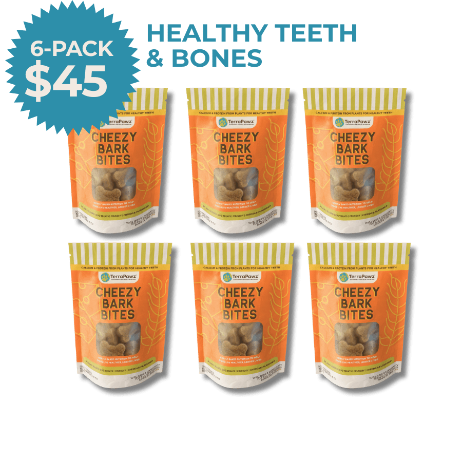 Cheezy Bark Bites 6 - pack (48 - oz) - TerraPawz